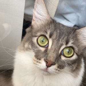 Meet your Posher, Nathaniel